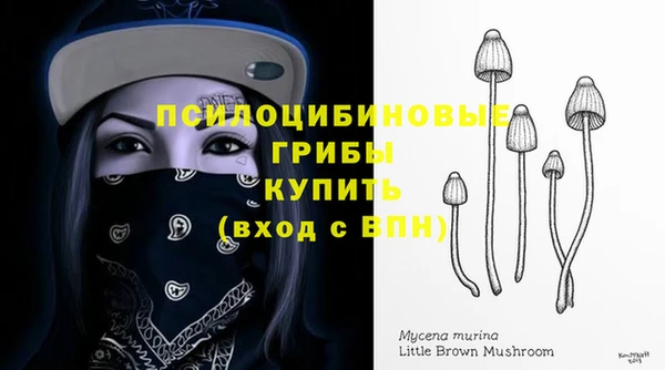 Альфа ПВП Алексеевка