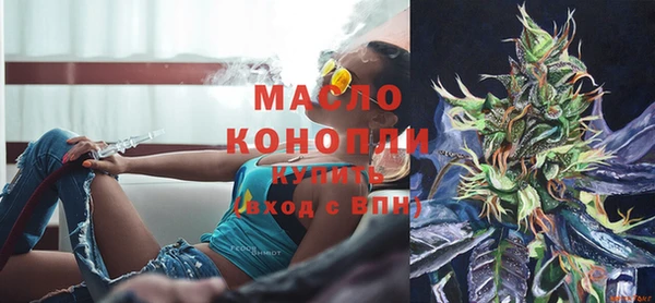 индика Горно-Алтайск