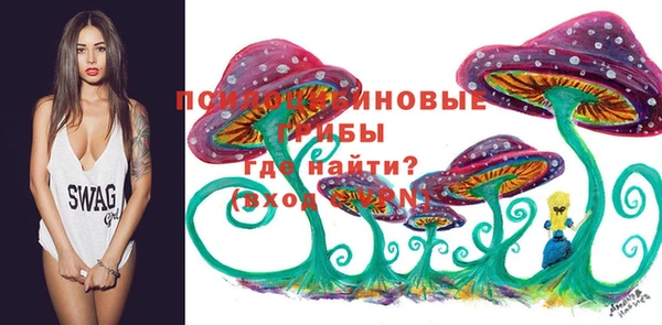 МДМА Арсеньев