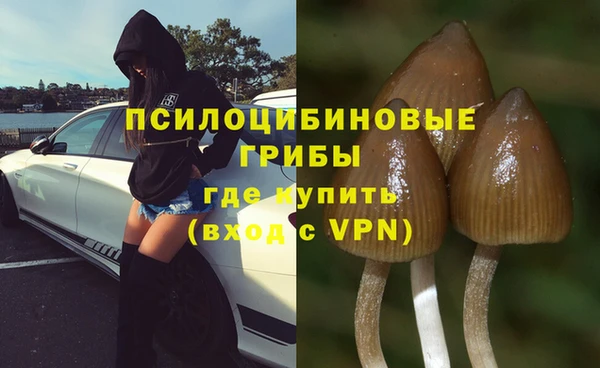 Альфа ПВП Алексеевка