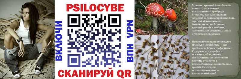 Псилоцибиновые грибы Magic Shrooms  купить  цена  Козьмодемьянск 