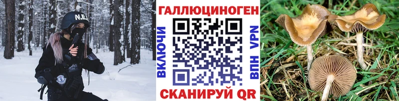 Псилоцибиновые грибы мицелий Козьмодемьянск